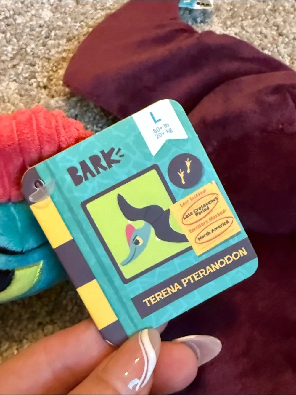 Dog Toys and Bandana Bundle